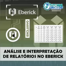 CURSO ANLISE E INTERPRETAO DE RELATRIOS NO EBERICK - BLACK FRIDAY